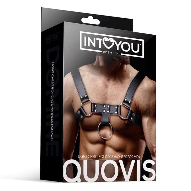 INTOYOU BDSM LINE QUOVIS ARNÉS MASCULINO PARA BONDAGE CUERO VEGANO